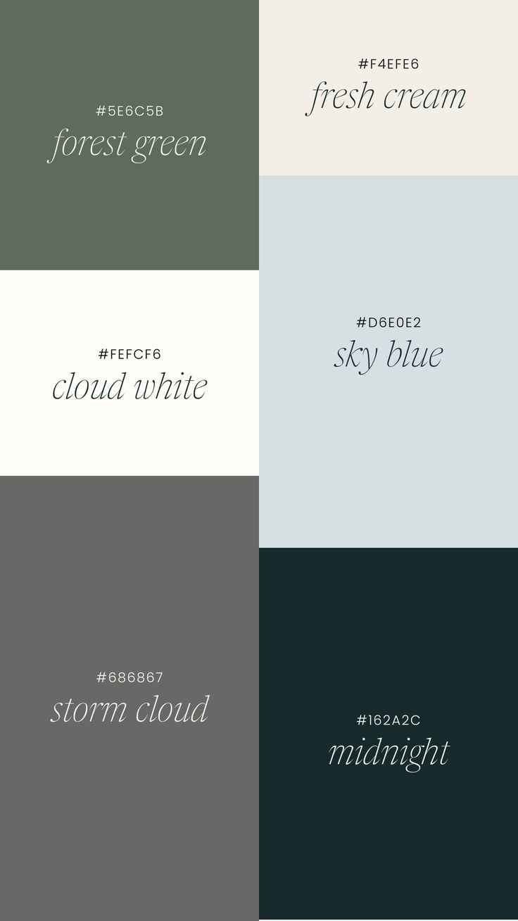 Color Palette Nội Thất Tối Giản