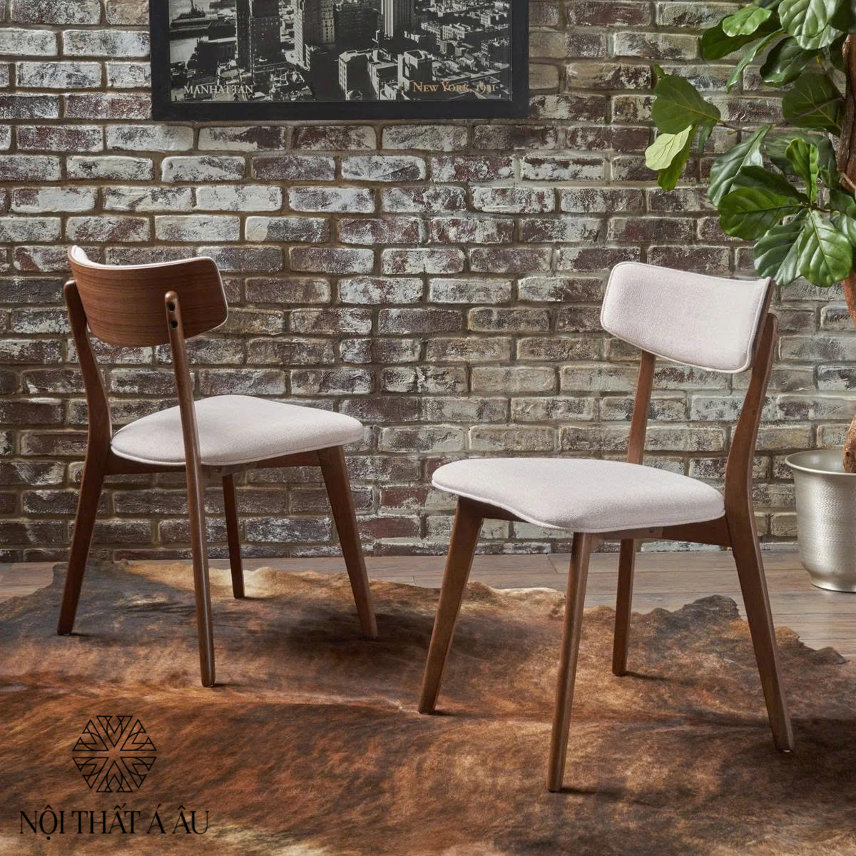 Mẫu Ghế Ăn Giá Rẻ Chất Lượng 