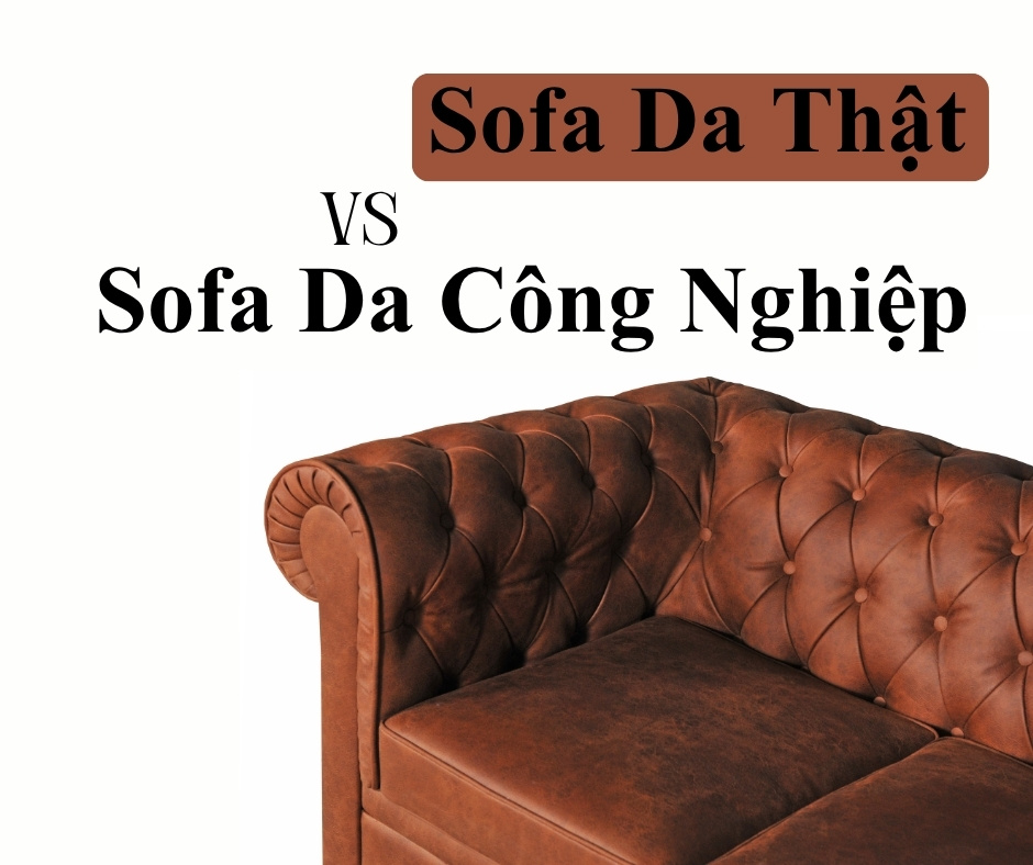 So Sánh Sofa Da Thật Và Sofa Da Công Nghiệp Nhanh Chóng 